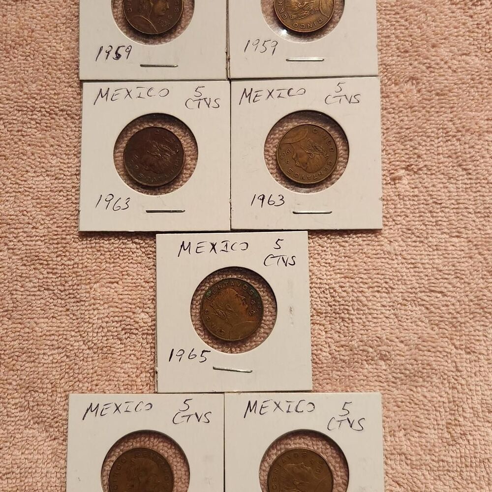 Free-people Brown and Gold Collectibles